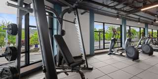 Prose Southcenter Gallery 2