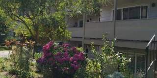 Rochelle Apartments Gallery 1