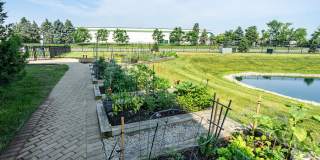 The Greyson Gallery 53