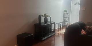 3142 QUARTET Lane unit: 255 Gallery 2