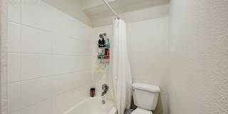 3102 Cedar Gallery 32