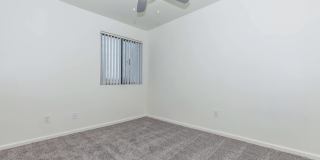 Metro Tucson Gallery 38