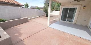 Tempe Terrace Gallery 29