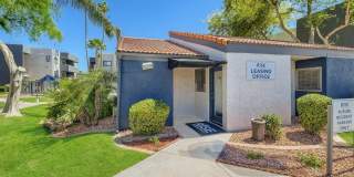 Rise Dobson Ranch Gallery 51