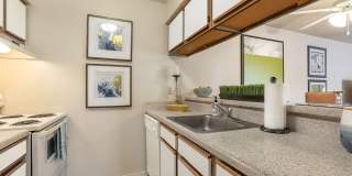 Grand Palms Gallery 11