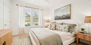 Colina Hillside Gallery 11