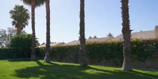 81367 Avenida Camelia Gallery 36