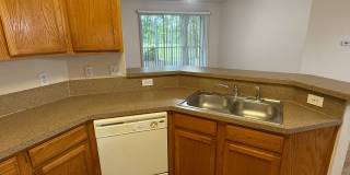 785-1  Oakleaf Plantation Parkway unit 123 Gallery 16