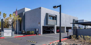 Lion Tempe Gallery 7