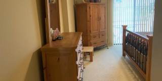 7506 N Via Camello Del Sur -- Gallery 20