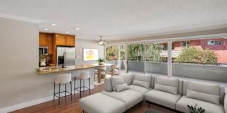 Bay Tree Gallery 52