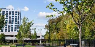 Madison West Elm Gallery 73