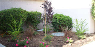 1549 Placentia Avenue 1549 Placentia Avenue Gallery 6