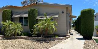 55+ Community Gallery 1