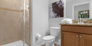 2933 BANANA PALM Drive Gallery 20