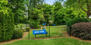 Aqua at Sandy Springs Gallery 4