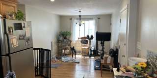 52 Gilbert St Gallery 9