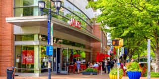 The Clark Gallery 50