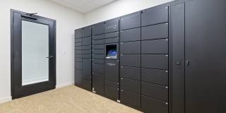 Avenue 34 Gallery 50