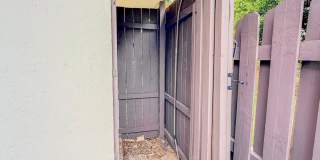 1913 N Congress Avenue Gallery 3