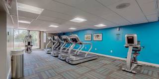 Takoma Towers Gallery 17