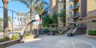 The Colony at the Lakes Gallery 4