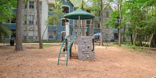 Forest View Gallery 16