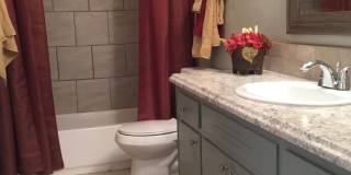 COLLEGE PROPERTY---PRE-LEASING FOR AUGUST! Amazing Updates! 3 bedroom 2 bath Gallery 25