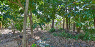 Expansive Clearwater Luxury | 6BR Pool Home w/ Solar, Outdoor Kitchen & 3+ Car Garage Gallery 66