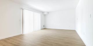 Lorien Ivy Apartments Gallery 55