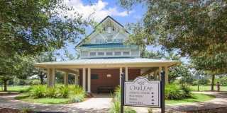 894 QUIET STONE Lane Gallery 35