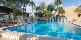 Silver Palms Gallery 17