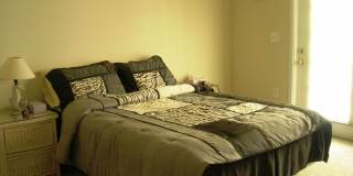 FURNISHED 1 bedroom 1 bath for rent lease 571 Water St., Celebration, FL 34747 Gallery 4