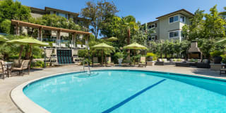 Orange Grove Circle Gallery 5