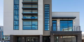 The Village Drey Gallery 43