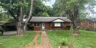 A Gardeners Dream! Gallery 4