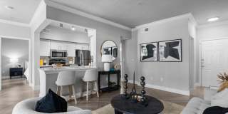 Weston at Copperfield Gallery 4