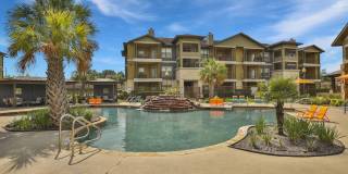 Hollow Tree Park Gallery 2