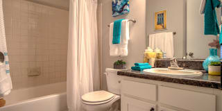 Palmetto Grove Palmetto Grove Gallery 19