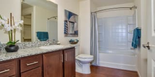 Ironhorse Apartments Gallery 7