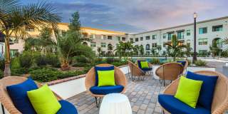 Vineyards Gallery 27