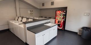 Greenback Gardens Gallery 36