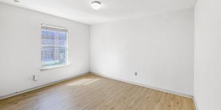 9566 Everton Gallery 11