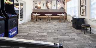 Waterleaf at Cold Springs Gallery 6