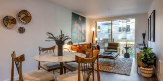 Arlo Gallery 11