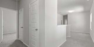 2434 Dry Moss Gallery 14