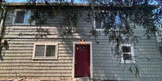 1183 Prospect Street - Downstairs Apt Gallery 1