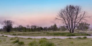 Alta Springs Gallery 25