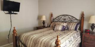 Long Term & Short Terms Options Furnished Pool Home!!! Gallery 16