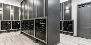 Bell Jones Franklin Gallery 30